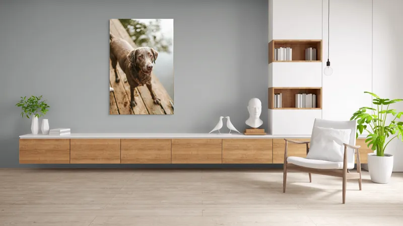 Tablou Canvas, "Câine ud pe malul lacului", 100 x 150 cm – poza 8