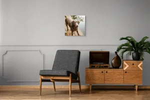 Tablou Canvas, "Câine ud pe malul lacului", 50 x 50 cm – poza 6