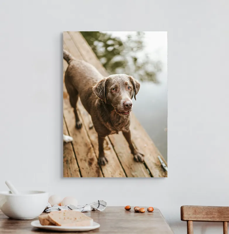 Tablou Canvas, "Câine ud pe malul lacului", 50 x 70 cm – poza 3