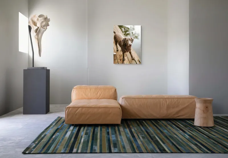 Tablou Canvas, "Câine ud pe malul lacului", 50 x 70 cm – poza 7