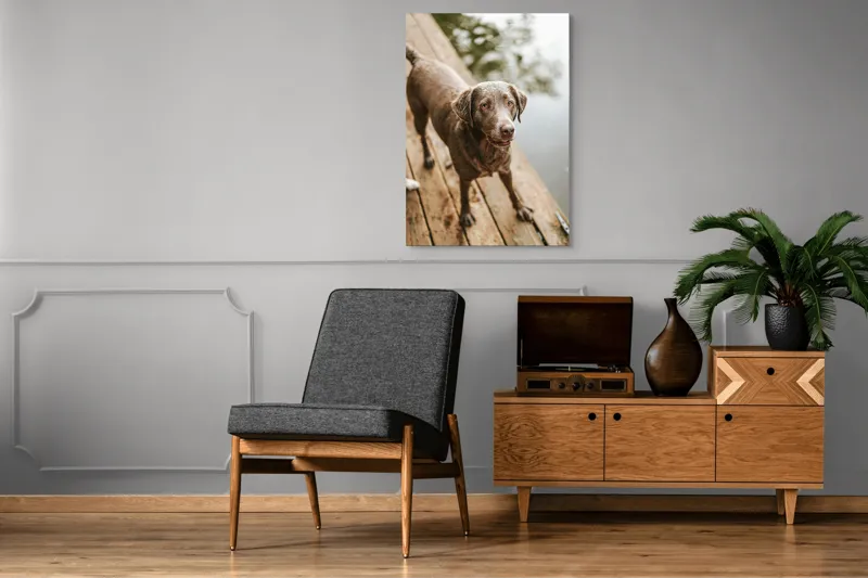 Tablou Canvas, "Câine ud pe malul lacului", 70 x 100 cm – poza 6