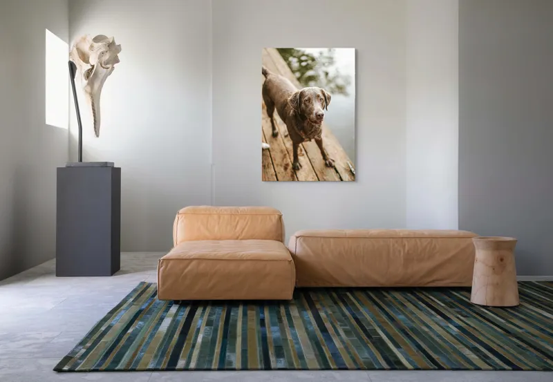 Tablou Canvas, "Câine ud pe malul lacului", 70 x 100 cm – poza 7