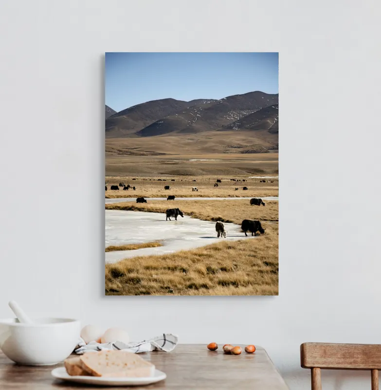 Tablou Canvas, "Iarna în stepele mongole misterioase", Dealuri, Iarbă, Iaci, Lăptos, Peisaj, Munți, Câmpie, Cer, Horizon, Râu, Natura, Pășune, Animale, Senin, Calm., 50 x 70 cm – poza 3