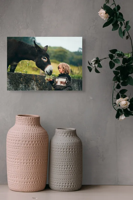 Tablou Canvas, "Băiatul și măgarul prieteni de nădejde", Copil, Măgar, Prietenie, Grădină, Natură, Blândețe, Atenție, Vârfuri, Verdeață, Lână., 54 x 39 cm – poza 8