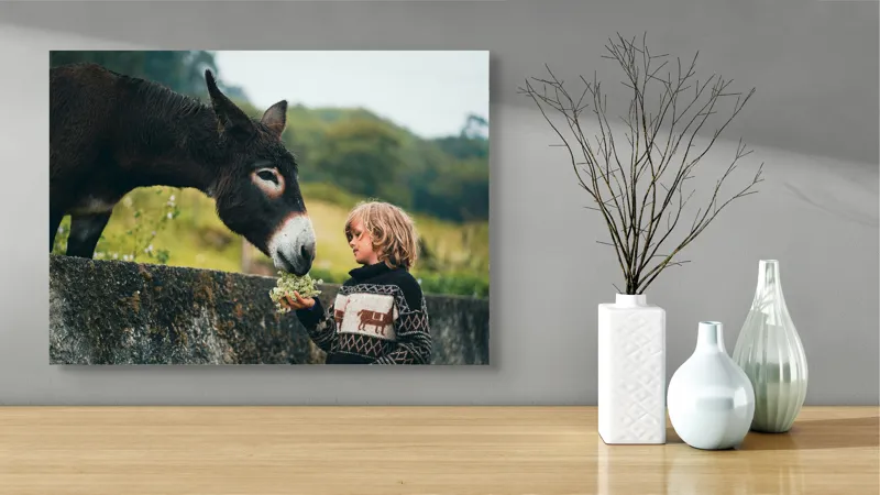 Tablou Canvas, "Băiatul și măgarul prieteni de nădejde", Copil, Măgar, Prietenie, Grădină, Natură, Blândețe, Atenție, Vârfuri, Verdeață, Lână., 70 x 50 cm – poza 3