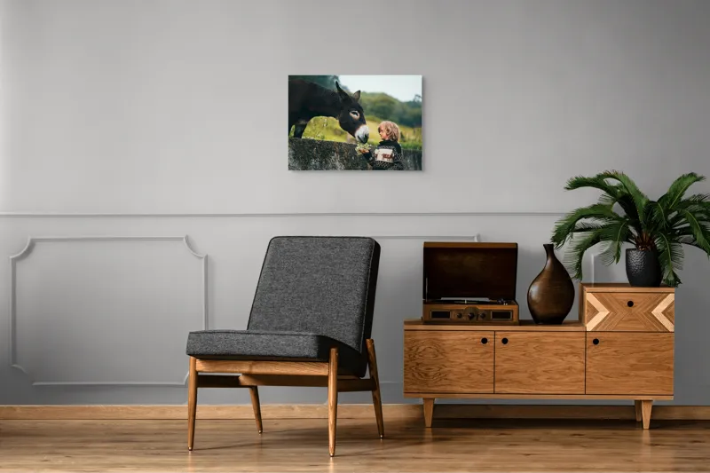 Tablou Canvas, "Băiatul și măgarul prieteni de nădejde", Copil, Măgar, Prietenie, Grădină, Natură, Blândețe, Atenție, Vârfuri, Verdeață, Lână., 70 x 50 cm – poza 4