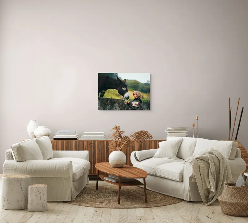 Tablou Canvas, "Băiatul și măgarul prieteni de nădejde", Copil, Măgar, Prietenie, Grădină, Natură, Blândețe, Atenție, Vârfuri, Verdeață, Lână., 70 x 50 cm – poza 6