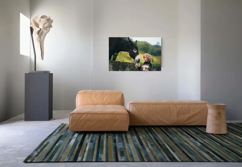 Tablou Canvas, "Băiatul și măgarul prieteni de nădejde", Copil, Măgar, Prietenie, Grădină, Natură, Blândețe, Atenție, Vârfuri, Verdeață, Lână., 90 x 50 cm – poza 8