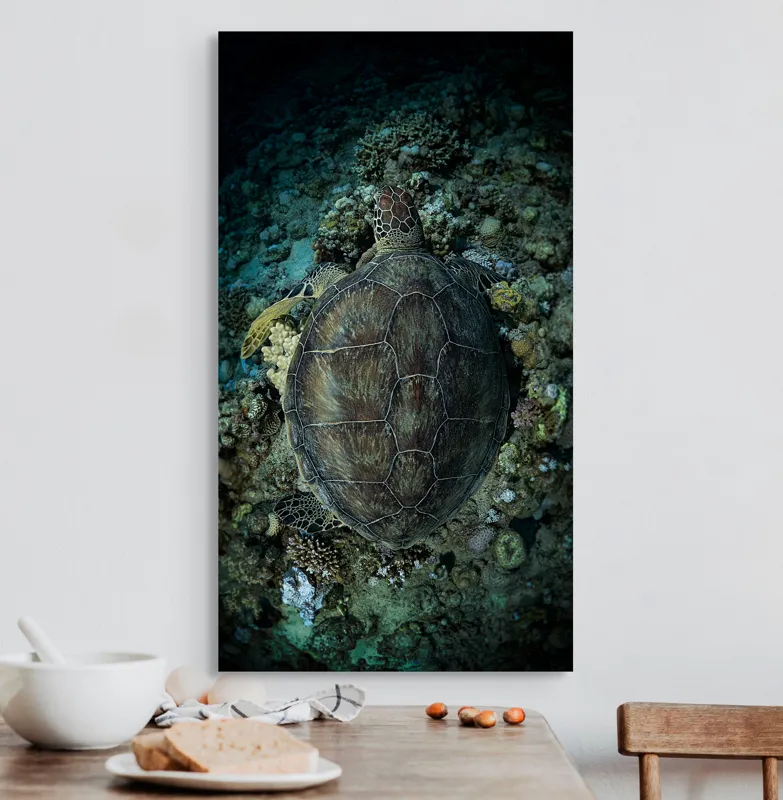 Tablou Canvas, "Bucurându-se de liniștea adâncurilor marine", Broască, Țestoasă, Coral, Ocean, Adâncuri, Subacvatic, Natură, Marine, Frumusețe, 50 x 90 cm – poza 3