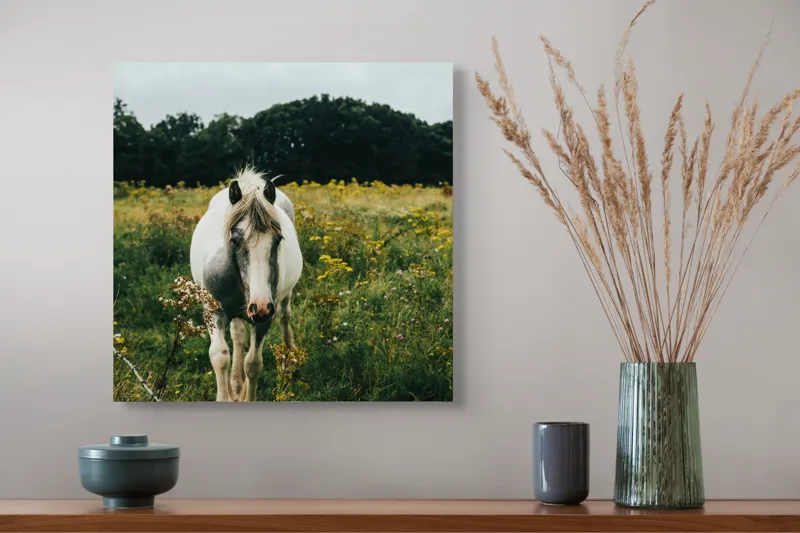 Tablou Canvas, "Cal singur printre flori sălbatice", Elegant, Liber, Pastoral, Natură, Serenitate, Vechi, Verdeață, Căldură, Liniște, Sălbatic, 50 x 50 cm – poza 4
