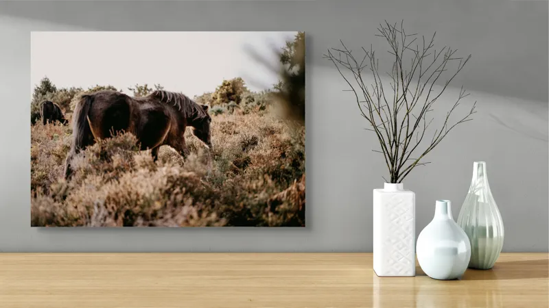 Tablou Canvas, "Cai sălbatici în peisaj natural", Cal, Natură, Vegetație, Sălbăticie, Peisaj, Frumusețe, Libertate, Serenitate, 70 x 50 cm – poza 3
