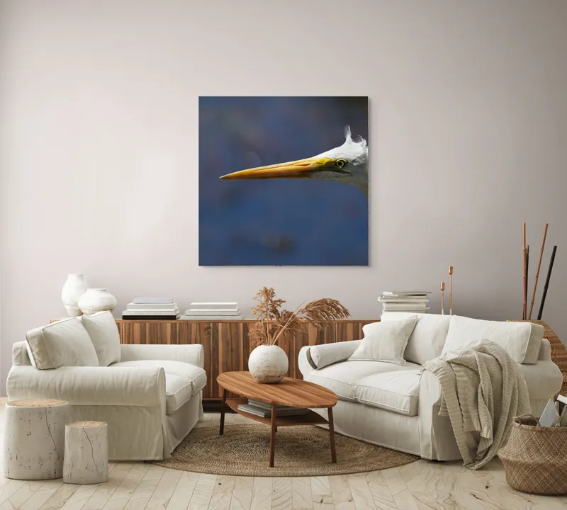 Tablou Canvas, "Grațioasa egretă în lumină albastră", Pasăre, Cap, Cioc, Pană, Ochi, Fundal, Natură, Eleganță, Profil., 100 x 100 cm – poza 3