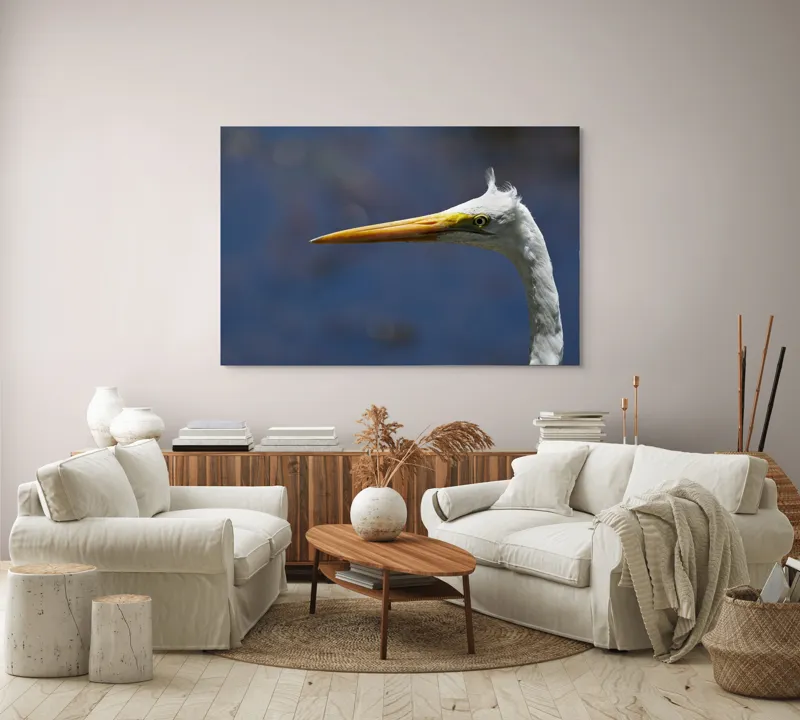 Tablou Canvas, "Grațioasa egretă în lumină albastră", Pasăre, Cap, Cioc, Pană, Ochi, Fundal, Natură, Eleganță, Profil., 150 x 100 cm – poza 3