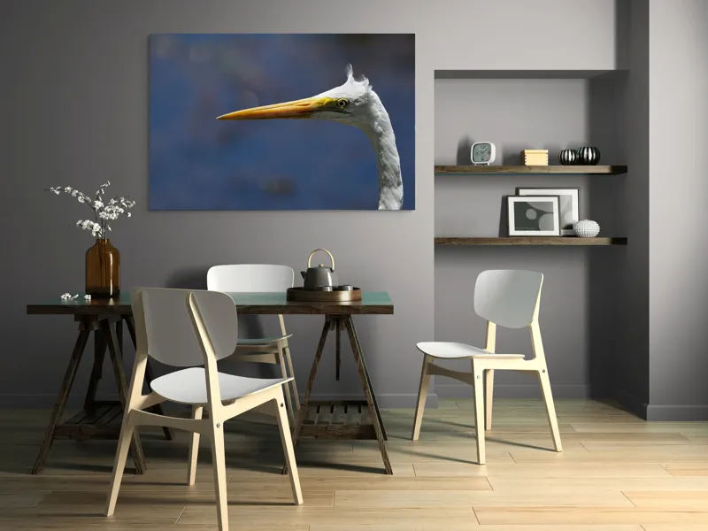 Tablou Canvas, "Grațioasa egretă în lumină albastră", Pasăre, Cap, Cioc, Pană, Ochi, Fundal, Natură, Eleganță, Profil., 150 x 100 cm – poza 5