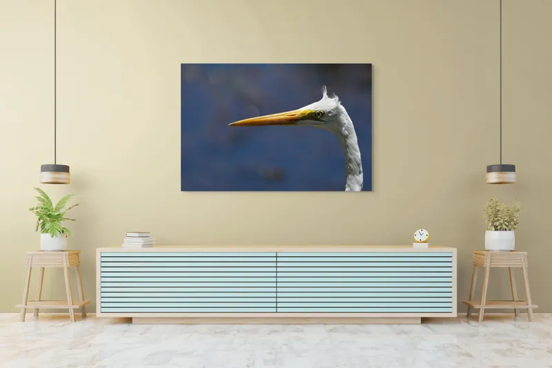 Tablou Canvas, "Grațioasa egretă în lumină albastră", Pasăre, Cap, Cioc, Pană, Ochi, Fundal, Natură, Eleganță, Profil., 150 x 100 cm – poza 6