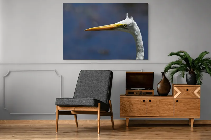 Tablou Canvas, "Grațioasa egretă în lumină albastră", Pasăre, Cap, Cioc, Pană, Ochi, Fundal, Natură, Eleganță, Profil., 150 x 100 cm – poza 8