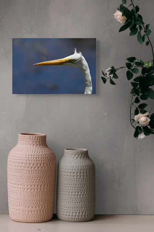 Tablou Canvas, "Grațioasa egretă în lumină albastră", Pasăre, Cap, Cioc, Pană, Ochi, Fundal, Natură, Eleganță, Profil., 39 x 26 cm – poza 4