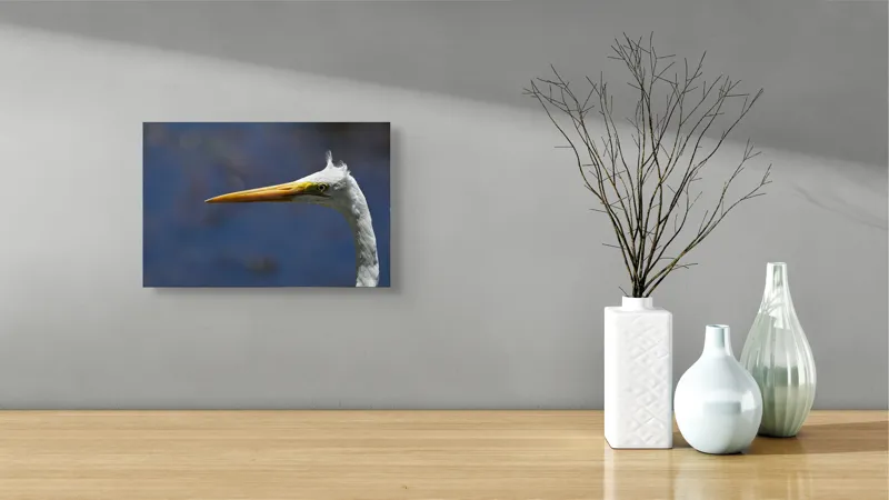 Tablou Canvas, "Grațioasa egretă în lumină albastră", Pasăre, Cap, Cioc, Pană, Ochi, Fundal, Natură, Eleganță, Profil., 39 x 26 cm – poza 8