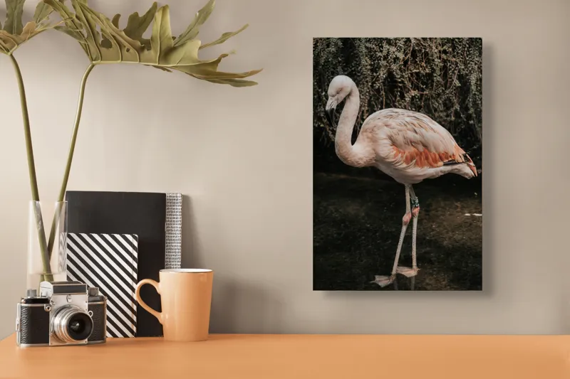 Tablou Canvas, "Flamingo în habitatul său natural", Flamingo, Tranquil, Elegance, Reflections, Gracefulness, 26 x 39 cm – poza 3