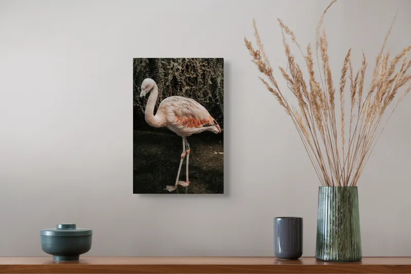 Tablou Canvas, "Flamingo în habitatul său natural", Flamingo, Tranquil, Elegance, Reflections, Gracefulness, 26 x 39 cm – poza 5