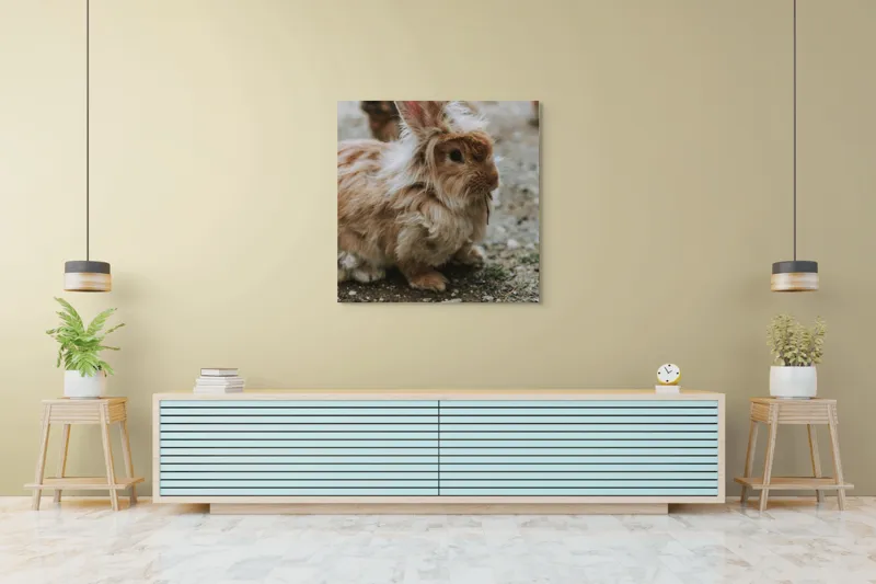 Tablou Canvas, "Pufosul de lângă vizuină toamna", Iepure, Pufos, Blană, Urechiușe, Gingaș, Drăgălaș, Natură, Calm, Morcov., 100 x 100 cm – poza 5