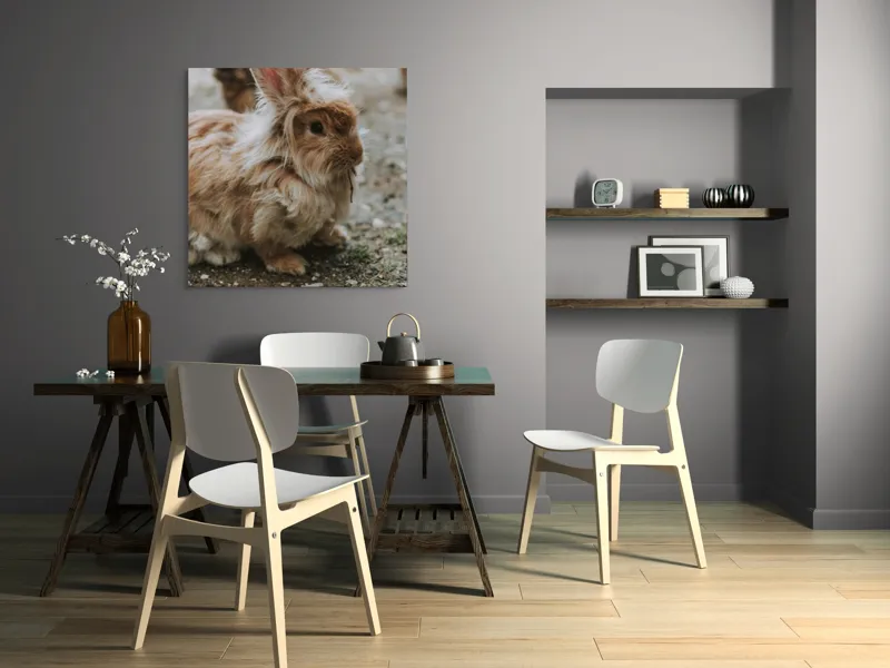 Tablou Canvas, "Pufosul de lângă vizuină toamna", Iepure, Pufos, Blană, Urechiușe, Gingaș, Drăgălaș, Natură, Calm, Morcov., 100 x 100 cm – poza 6