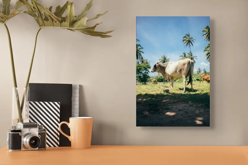 Tablou Canvas, "Vaca sub palmieri tropicali", Vacă, Palmieri, Cer, Albastru, Iarbă, Soare, Umbră, Natură, Relaxare, Peisaj., 26 x 39 cm – poza 3