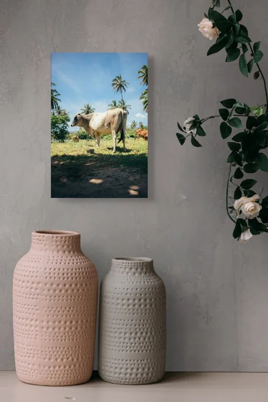 Tablou Canvas, "Vaca sub palmieri tropicali", Vacă, Palmieri, Cer, Albastru, Iarbă, Soare, Umbră, Natură, Relaxare, Peisaj., 26 x 39 cm – poza 6