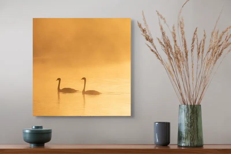 Tablou Canvas, "Liniștea dimineții pe lacul auriu", Aur, Eleganță, Liniște, Grandoare, Reflecție, Serenitate, Ceață, Împreună, Calm, Natură, 50 x 50 cm – poza 4