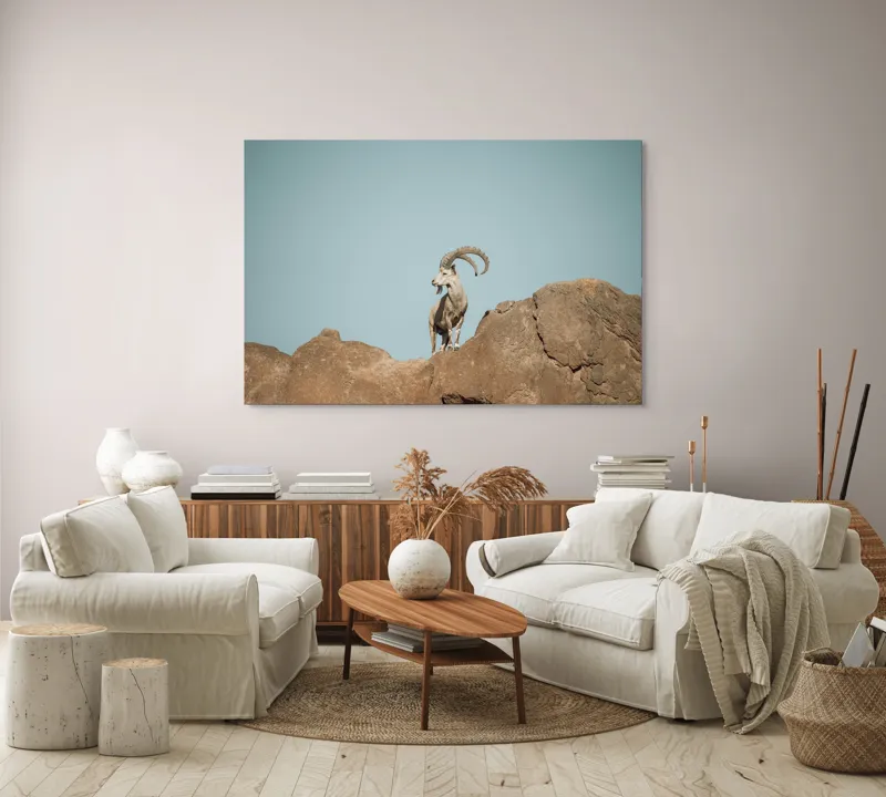 Tablou Canvas, "Capra sălbatică pe stâncă înaltă", Vârf, Cer, Capricorn, Piatră, Privire, Măreție, Natură, 150 x 100 cm – poza 3