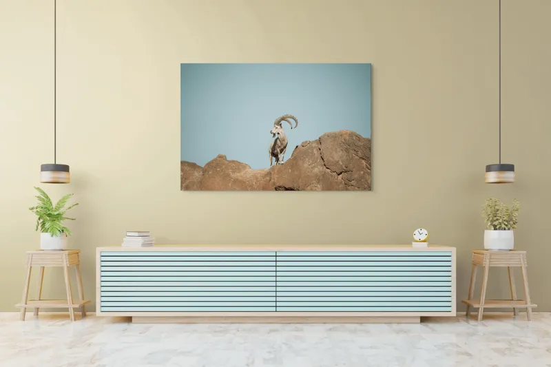 Tablou Canvas, "Capra sălbatică pe stâncă înaltă", Vârf, Cer, Capricorn, Piatră, Privire, Măreție, Natură, 150 x 100 cm – poza 6