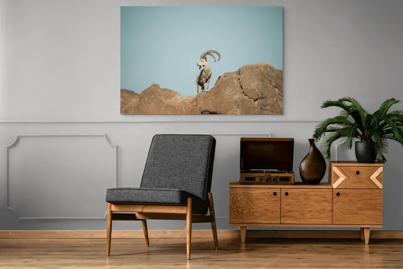 Tablou Canvas, "Capra sălbatică pe stâncă înaltă", Vârf, Cer, Capricorn, Piatră, Privire, Măreție, Natură, 150 x 100 cm – poza 8
