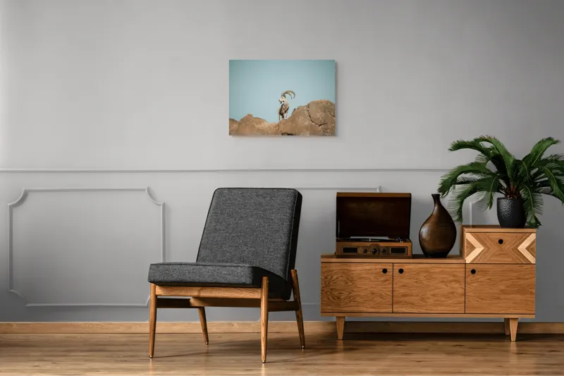 Tablou Canvas, "Capra sălbatică pe stâncă înaltă", Vârf, Cer, Capricorn, Piatră, Privire, Măreție, Natură, 70 x 50 cm – poza 4