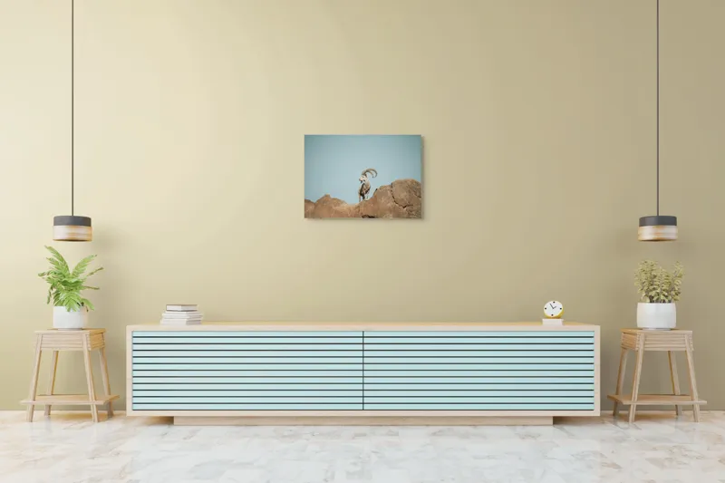 Tablou Canvas, "Capra sălbatică pe stâncă înaltă", Vârf, Cer, Capricorn, Piatră, Privire, Măreție, Natură, 70 x 50 cm – poza 7