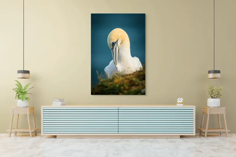 Tablou Canvas, "Curiozitatea păsării pe stâncă ", Pasăre, Albastră, Privire, Gracilă, Penaj, Stâncă, Cer, Senin, 100 x 150 cm – poza 4
