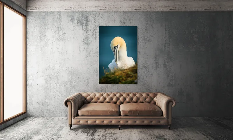 Tablou Canvas, "Curiozitatea păsării pe stâncă ", Pasăre, Albastră, Privire, Gracilă, Penaj, Stâncă, Cer, Senin, 100 x 150 cm – poza 6