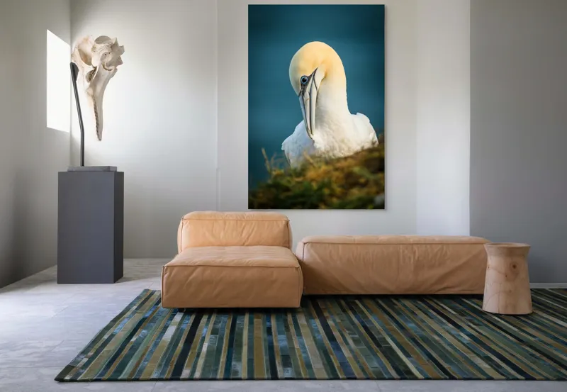Tablou Canvas, "Curiozitatea păsării pe stâncă ", Pasăre, Albastră, Privire, Gracilă, Penaj, Stâncă, Cer, Senin, 100 x 150 cm – poza 7