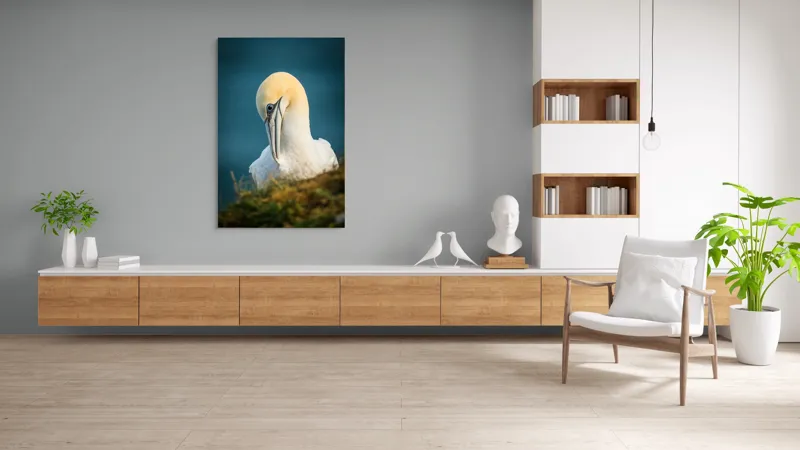 Tablou Canvas, "Curiozitatea păsării pe stâncă ", Pasăre, Albastră, Privire, Gracilă, Penaj, Stâncă, Cer, Senin, 100 x 150 cm – poza 8