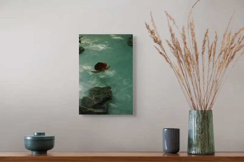 Tablou Canvas, "Țestoase plutitoare în apă limpede", Țestoasă, Apă, Lumină, Piatre, Reflexie, 26 x 39 cm – poza 5