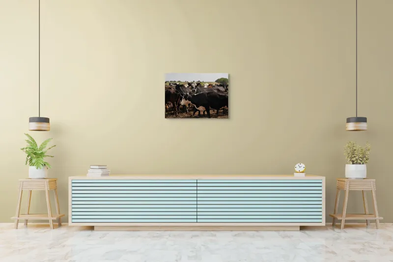 Tablou Canvas, "Turmă de vaci pe câmpie liniștită", Vaci, Pășune, Cer, Verdeață, Coarne, Multitudine, Fermă, Natură, Peisaj, Pământ., 70 x 50 cm – poza 7