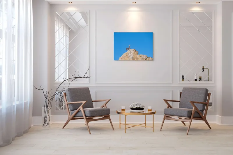 Tablou Canvas, "Pelican pe stânca semeață", Pasăre, Stâncă, Cer, Albastru, Natură, Penaj, Solitudine, Vedere., 100 x 70 cm – poza 5