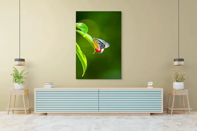 Tablou Canvas, "Fluture pe frunză înverzită", Fluture, Frunze, Verde, Galben, Roșu, Delicat, Natură, Contrast, Subtil, Raze, 100 x 150 cm – poza 4