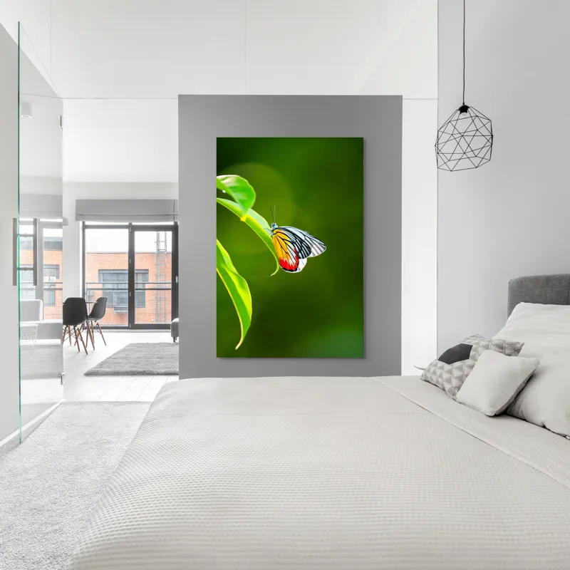 Tablou Canvas, "Fluture pe frunză înverzită", Fluture, Frunze, Verde, Galben, Roșu, Delicat, Natură, Contrast, Subtil, Raze, 100 x 150 cm – poza 5