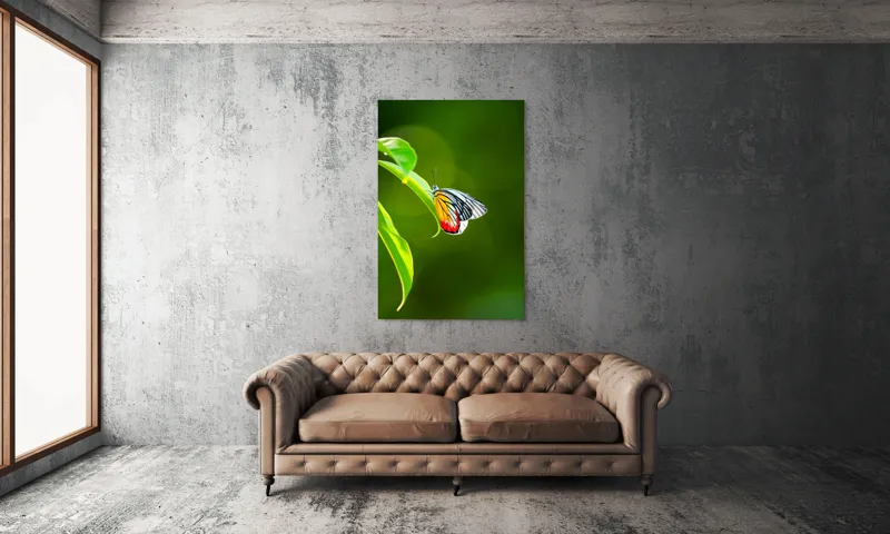 Tablou Canvas, "Fluture pe frunză înverzită", Fluture, Frunze, Verde, Galben, Roșu, Delicat, Natură, Contrast, Subtil, Raze, 100 x 150 cm – poza 6