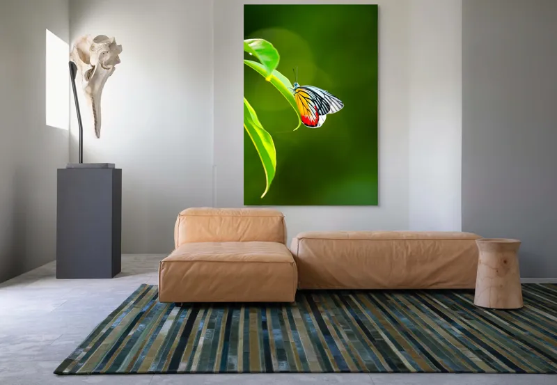 Tablou Canvas, "Fluture pe frunză înverzită", Fluture, Frunze, Verde, Galben, Roșu, Delicat, Natură, Contrast, Subtil, Raze, 100 x 150 cm – poza 7