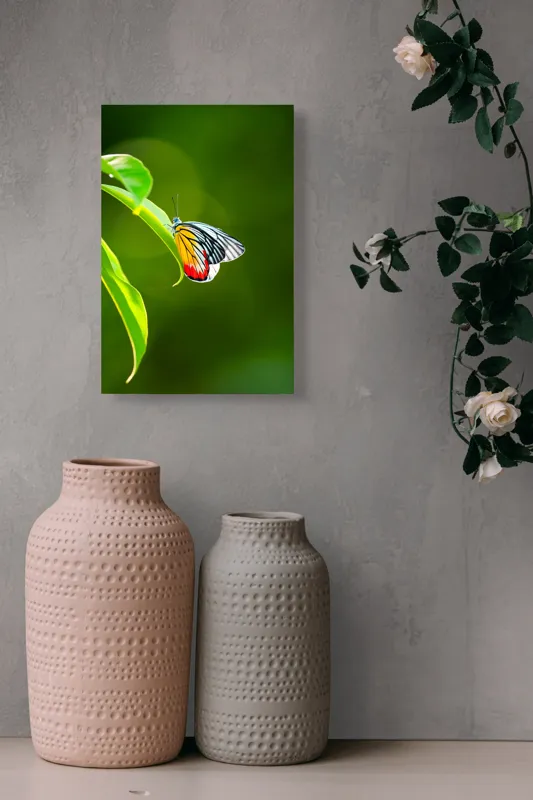 Tablou Canvas, "Fluture pe frunză înverzită", Fluture, Frunze, Verde, Galben, Roșu, Delicat, Natură, Contrast, Subtil, Raze, 26 x 39 cm – poza 6
