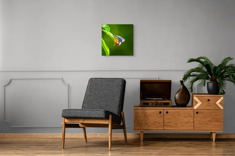 Tablou Canvas, "Fluture pe frunză înverzită", Fluture, Frunze, Verde, Galben, Roșu, Delicat, Natură, Contrast, Subtil, Raze, 50 x 50 cm – poza 6