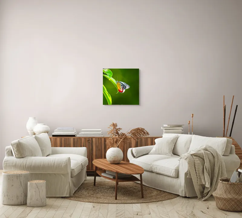 Tablou Canvas, "Fluture pe frunză înverzită", Fluture, Frunze, Verde, Galben, Roșu, Delicat, Natură, Contrast, Subtil, Raze, 50 x 50 cm – poza 7