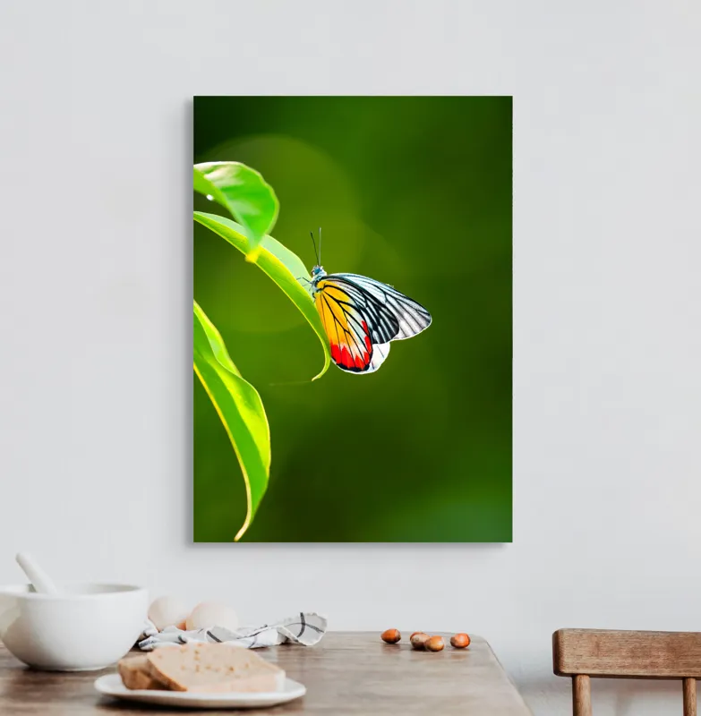 Tablou Canvas, "Fluture pe frunză înverzită", Fluture, Frunze, Verde, Galben, Roșu, Delicat, Natură, Contrast, Subtil, Raze, 50 x 70 cm – poza 3