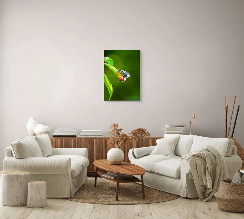 Tablou Canvas, "Fluture pe frunză înverzită", Fluture, Frunze, Verde, Galben, Roșu, Delicat, Natură, Contrast, Subtil, Raze, 50 x 70 cm – poza 4